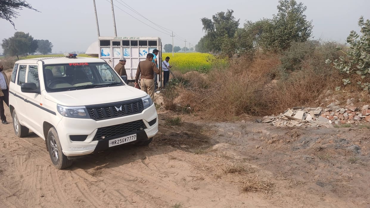 Nilgai meat was being packed in bags near Salamkheda; officials arrived at the scene.