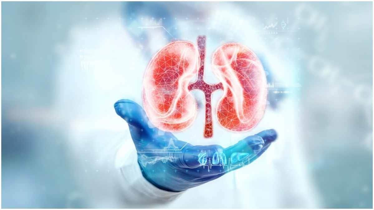 High blood pressure is the biggest enemy of the kidneys.