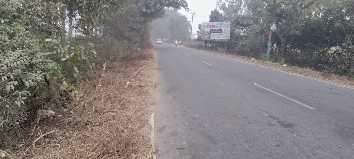 Fog: the white strip along the roadside is hidden in the bushes