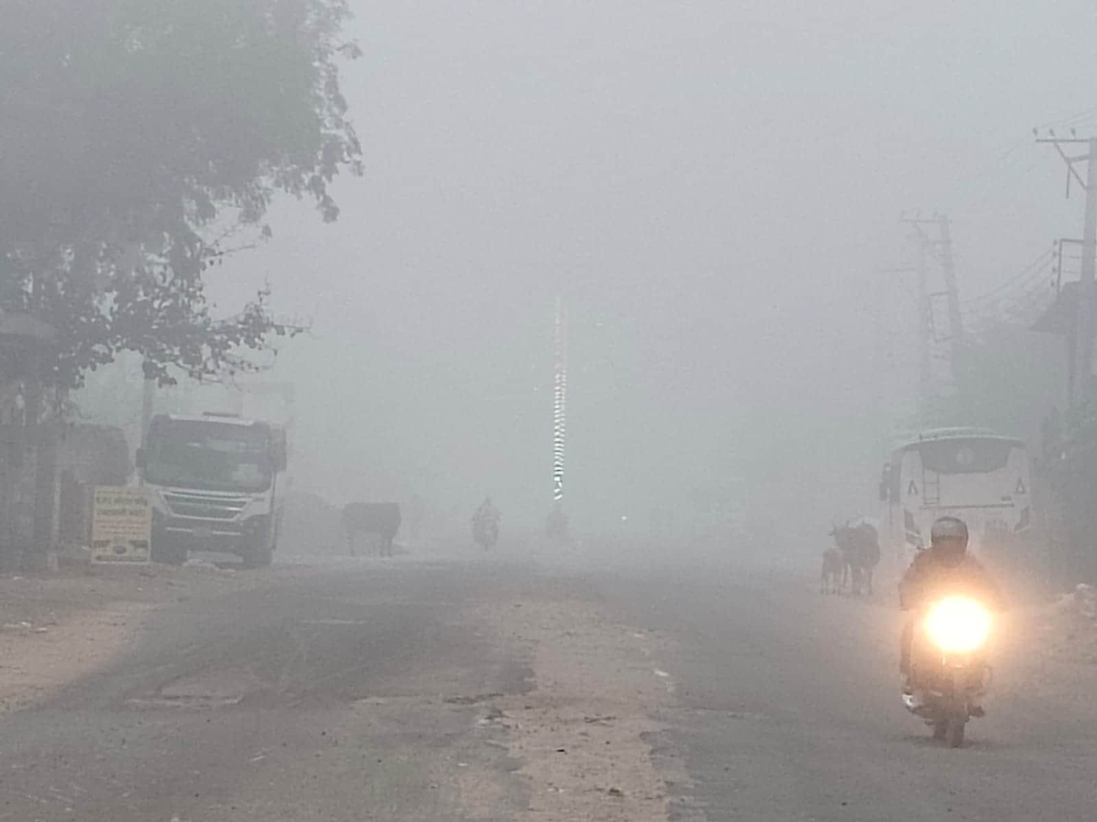 भाड़ावास मार्ग पर सुबह 9 बजे छाई धुंध। ंसंवाद