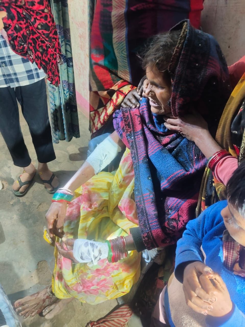 Six people, including three women, injured in hyena and jackal attacks
