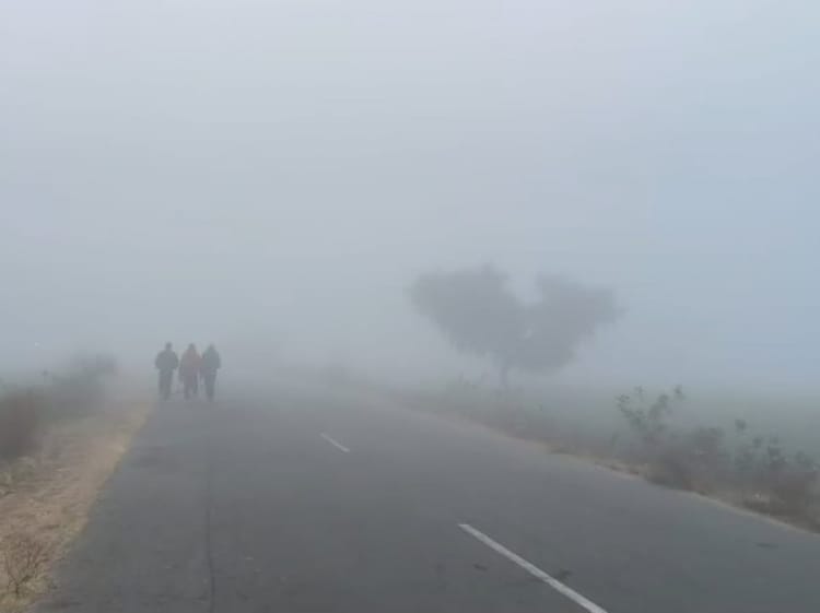 Rajasthan cold weather: राजस्थान में कड़ाके की सर्दी जारी,करौली, फतेहपुर समेत कई शहरों में पारा गिरा