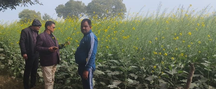 Be careful not to damage the crops in the fields due to frost.