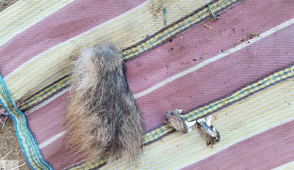 जब्त अवशेष।