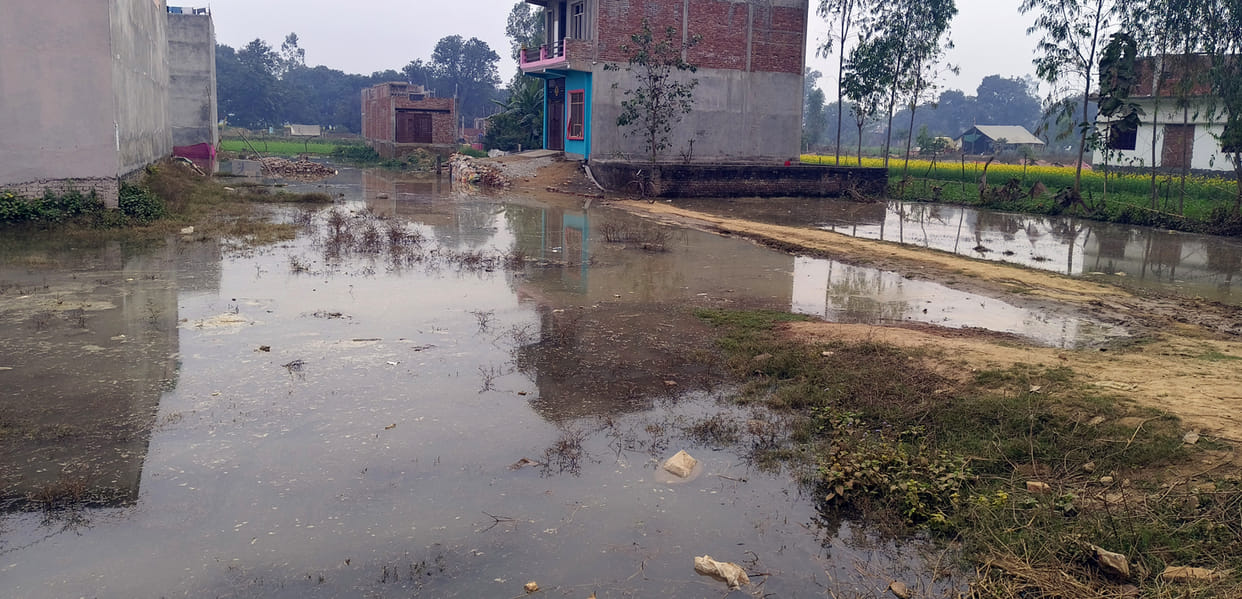 Five bighas of crops submerged due to cutting of the minor track