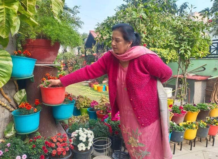 11.. सुभाष नगर स्थित घर के आंगन में बगिया के पौधों की देखभाल करती आभा राणा। संवाद