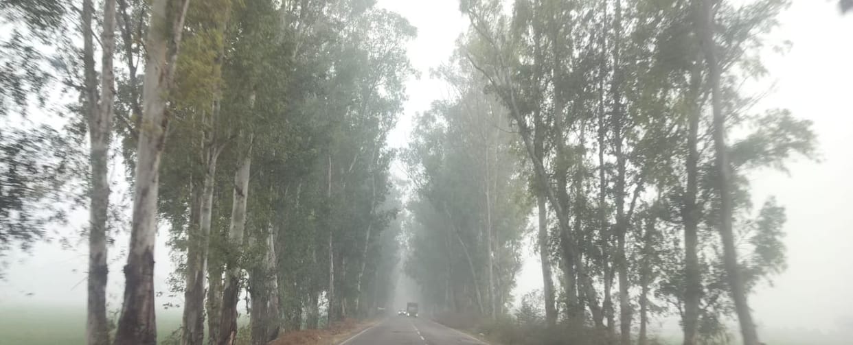 Cold wave intensifies: Chilling winds cause shivering, further drop in temperature expected.