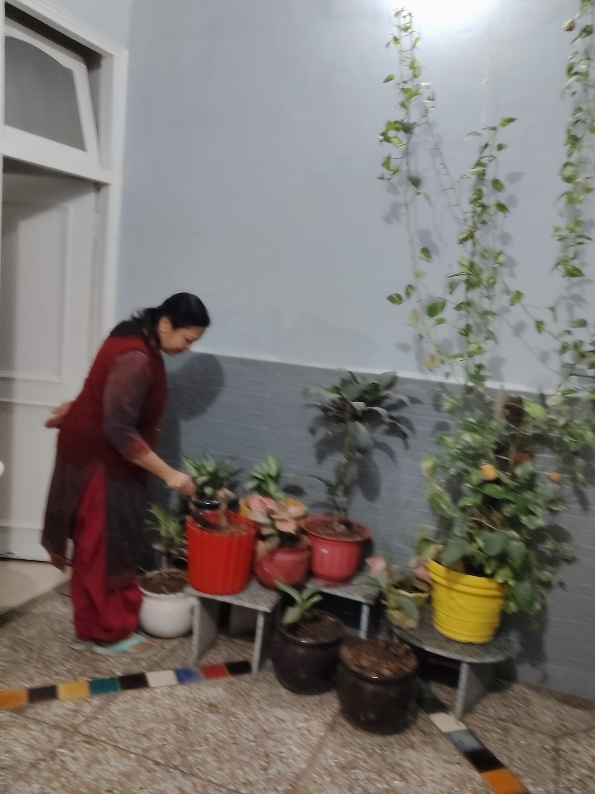 Meenakshi has been tending to the plants in her home for 15 years, saying that the garden brightens up the entire house.