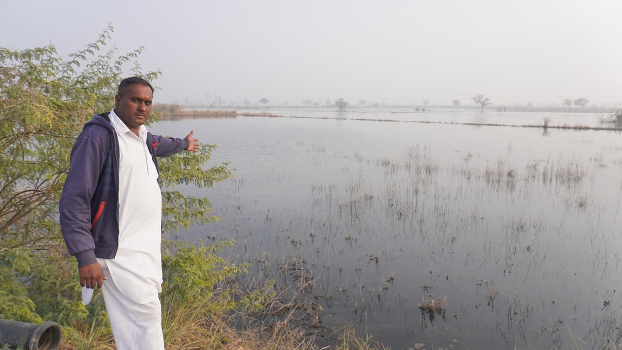 In Birohad village, 100 acres of farmland have been waterlogged for the past six months, and farmers say they are shedding tears of despair.