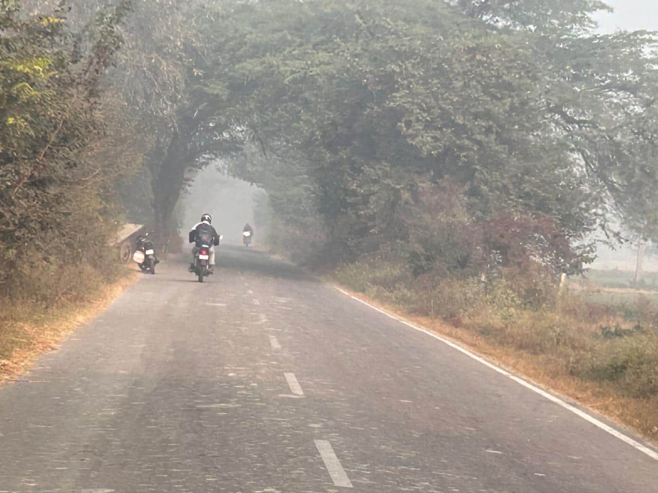 43...रोहतक में सुबह हल्के कोहरे के दौरान गुजरते वाहन। संवाद