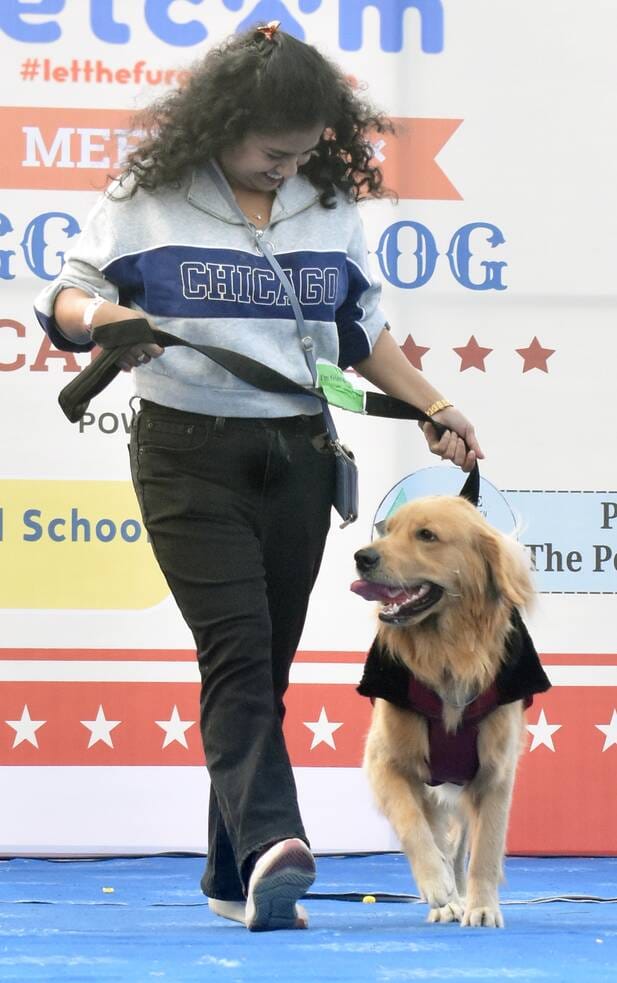 Dogs showed tricks in the dog show, Charlie became Mister and Barfi became Miss Petcom