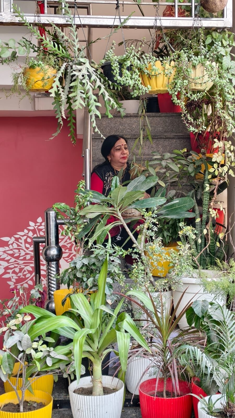 Start gardening with a craving for greenery