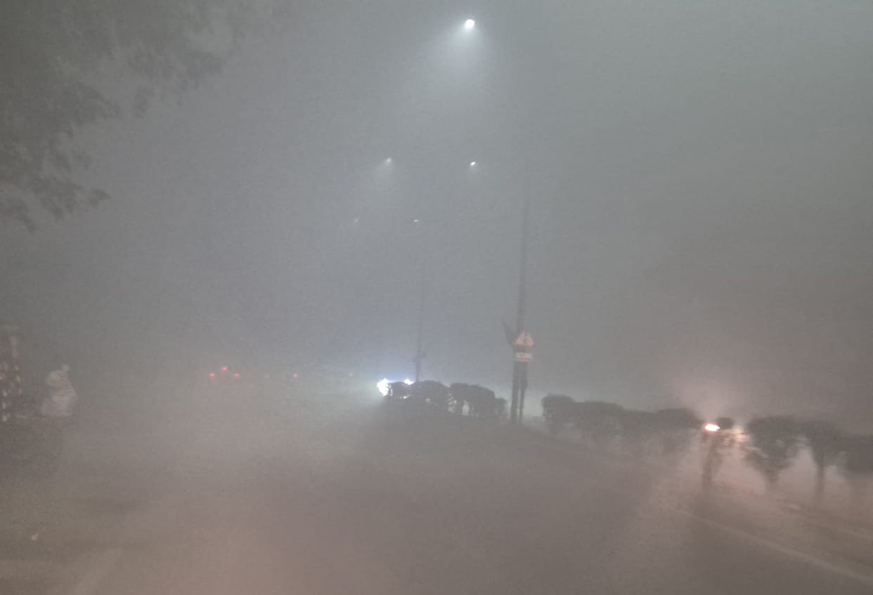 Thick fog covered the night, relieved in the morning