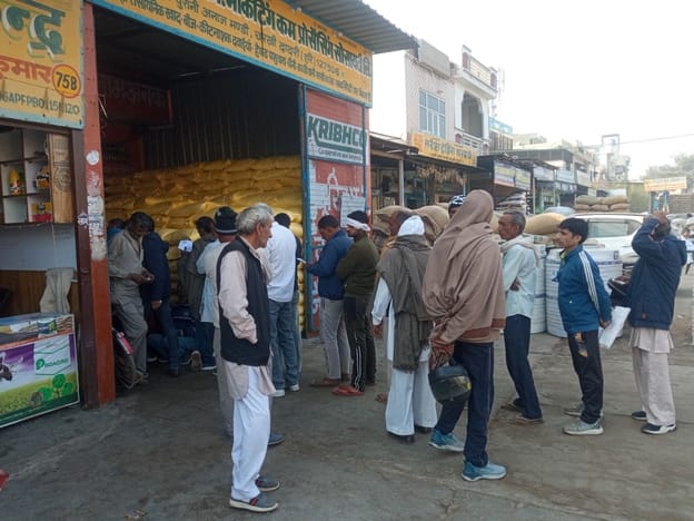 1225 bags of urea fertilizer arrived in Dadri after 10 days, 1100 were distributed.