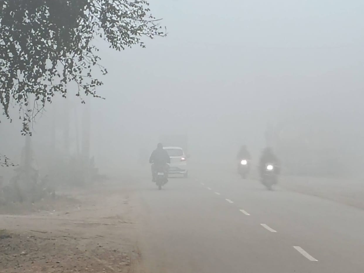 A blanket of fog prevailed throughout the day, disrupting public transport services.