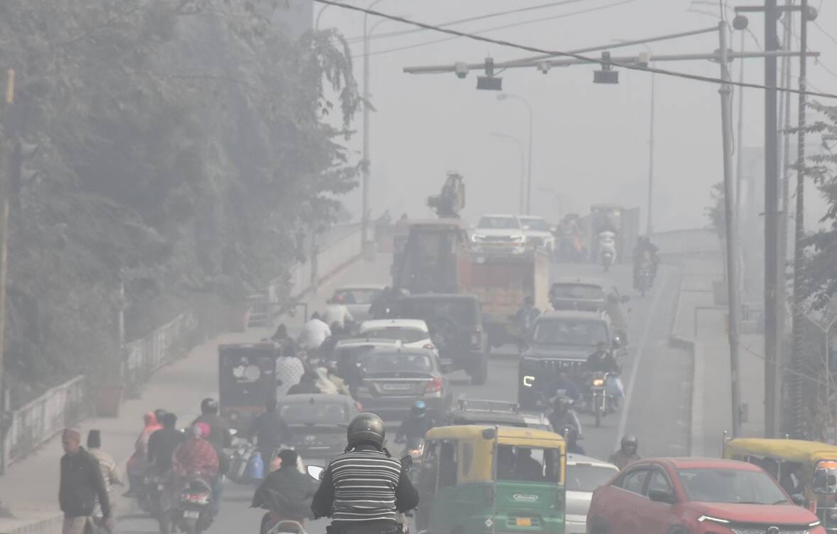 After a dense fog in the morning, the sun shone in the afternoon, the temperature rose by three degrees.
