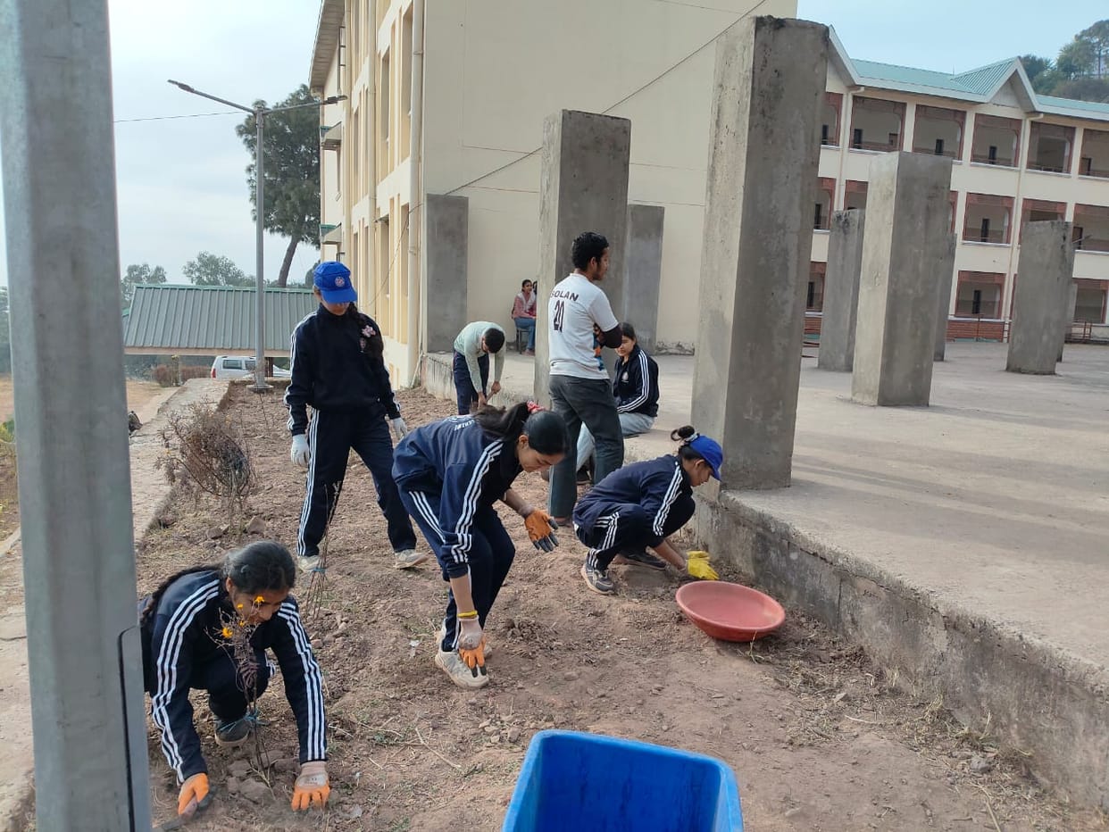 Volunteers of Diggal College beautified the campus through voluntary labour.