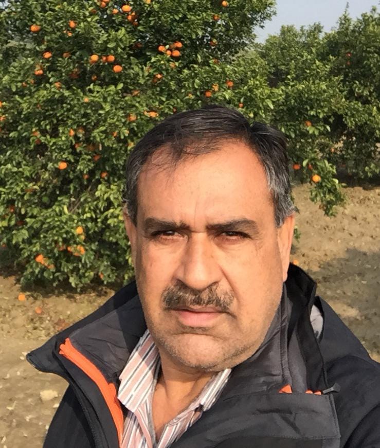 Sarvajeet Singh Dhankhar is growing vegetables in water without soil.