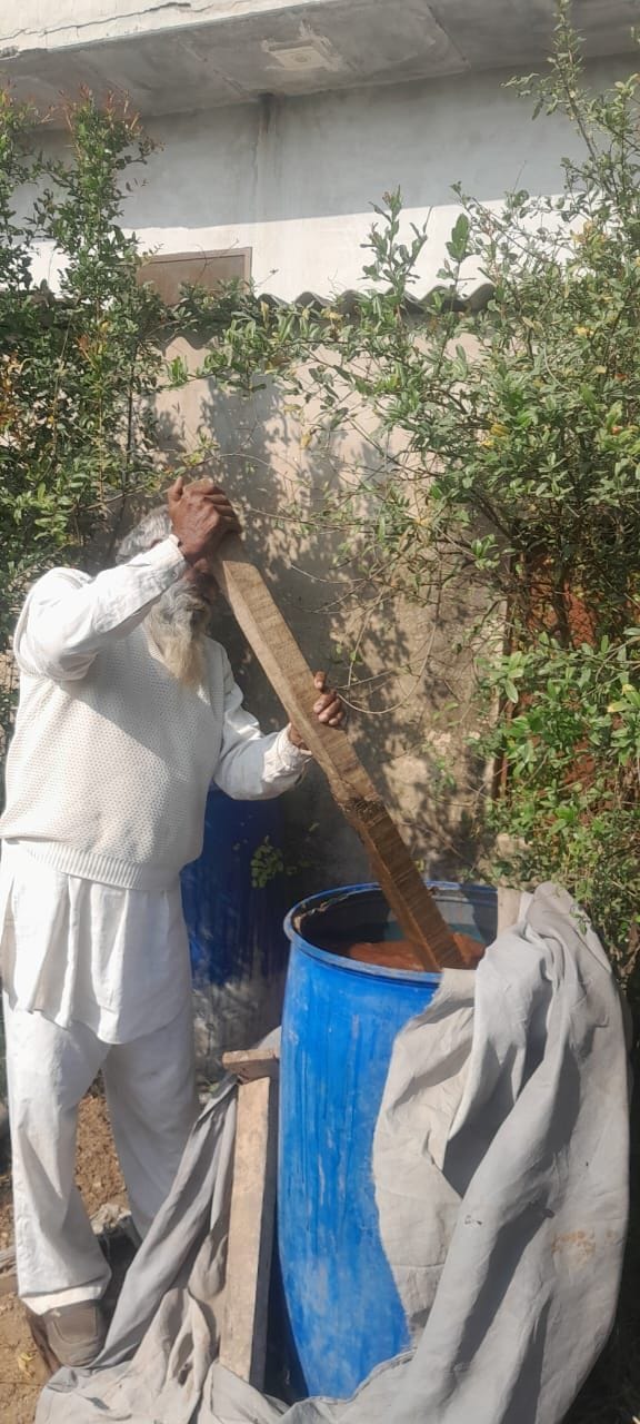 75-year-old farmer Omveer is doing gardening and farming using organic fertilizers.