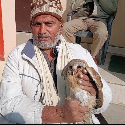 Injured owl rescued, handed over to forest department