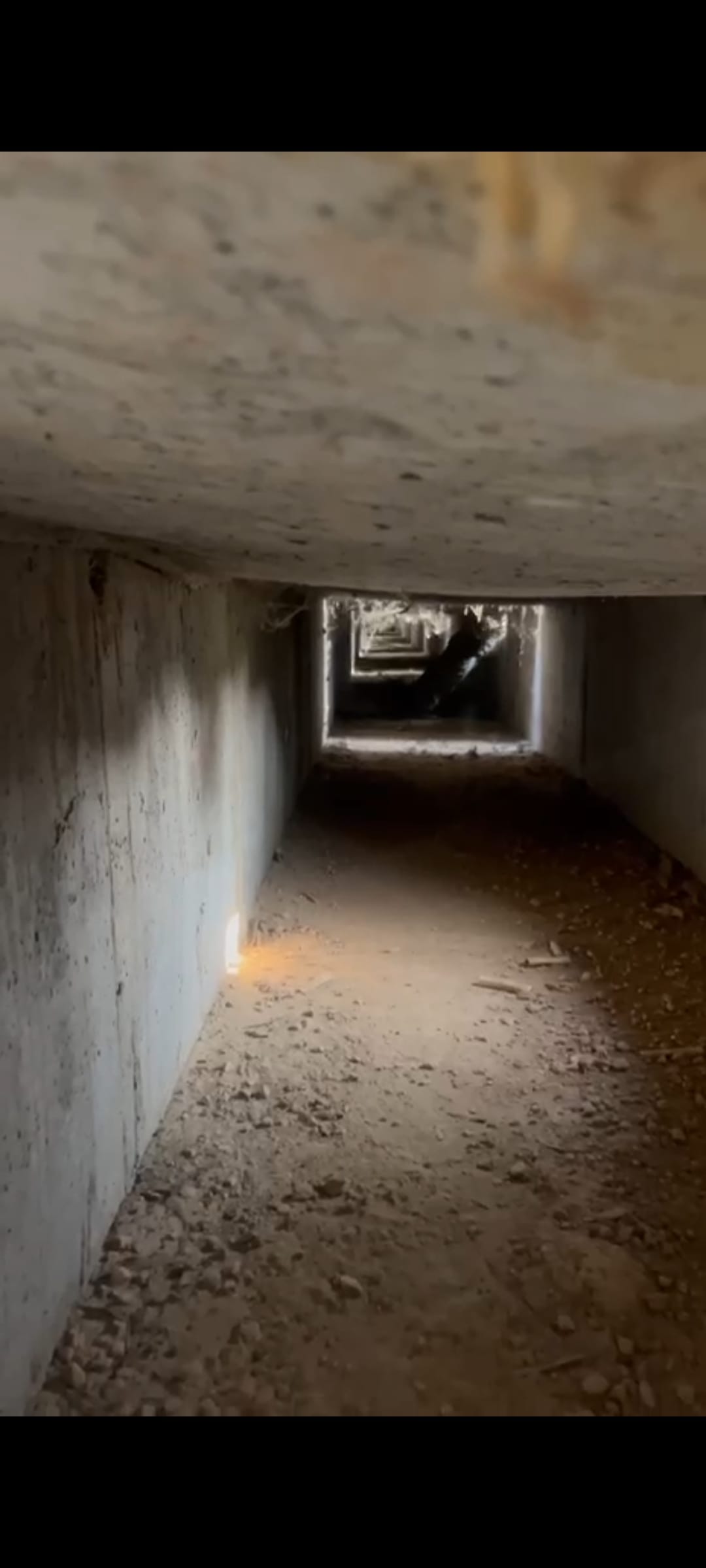 Leopard spotted in drain, villagers panicked