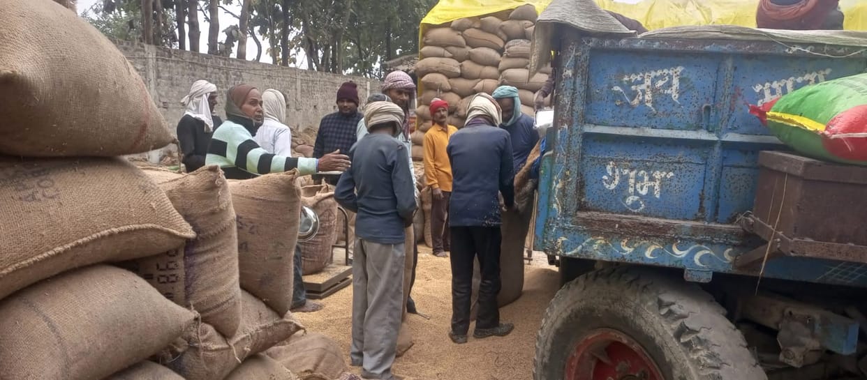 Procurement affected due to non-lifting of paddy at government procurement centres