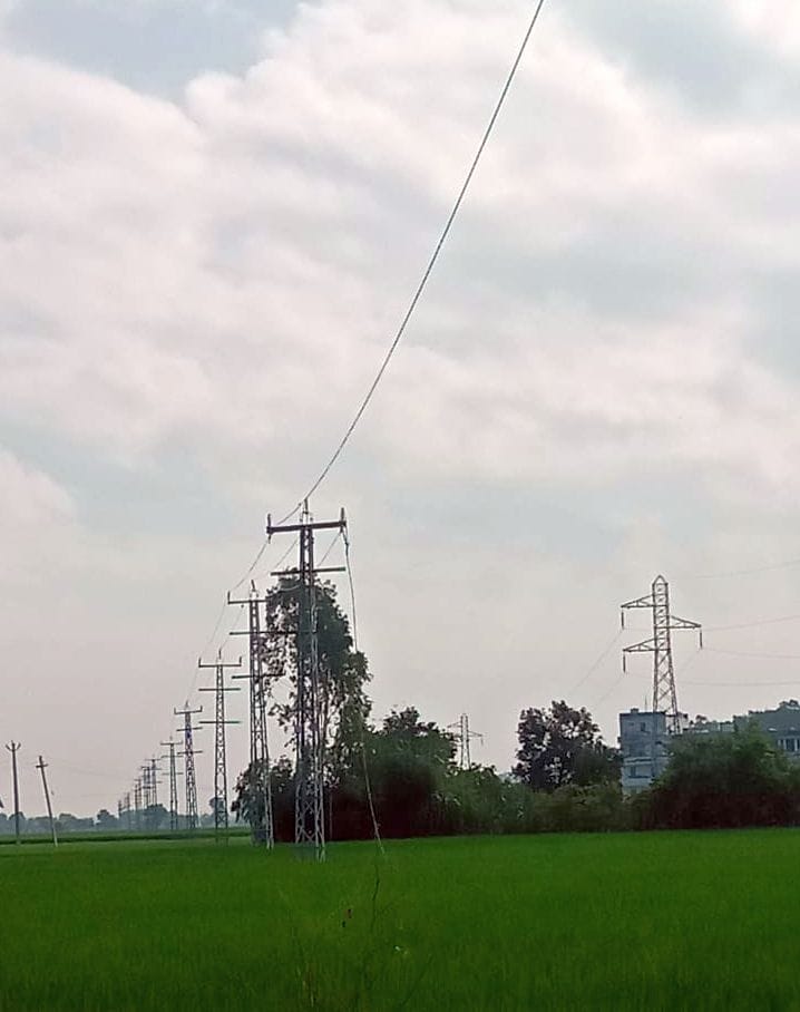 Thieves stole 3472 meters of wire from 42-foot-tall poles.