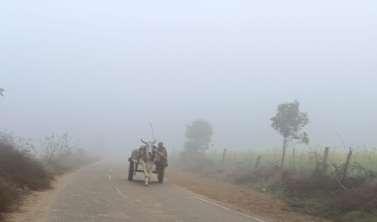Due to fog and mist, vehicles were seen crawling on the roads, and visibility was zero at night.