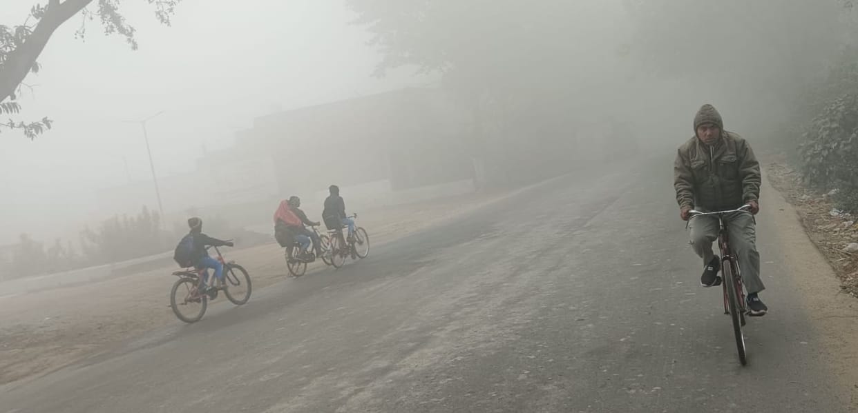 The fog lingered until 10 AM, and the sun came out in the afternoon