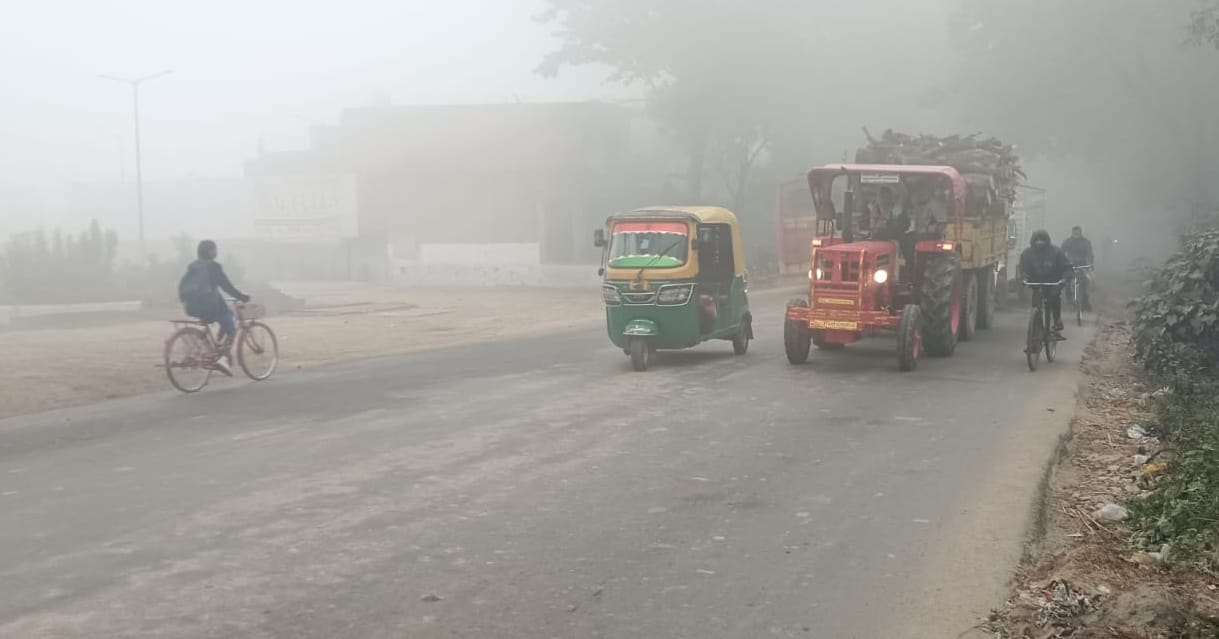 Clouds after a mild sunshine during the day, harmful for potato and mustard crops