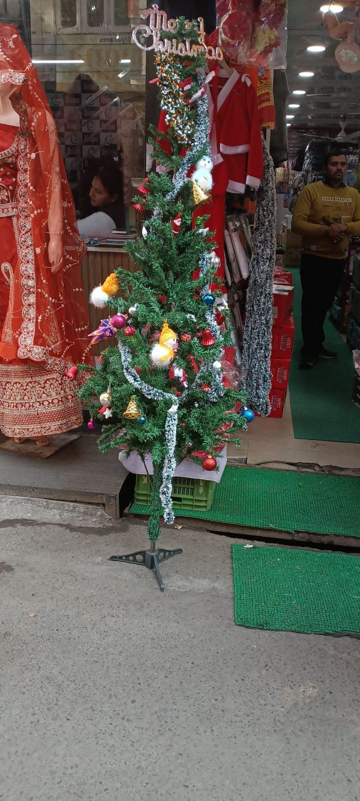 Christmas trees are available for Rs 150 to Rs 400.