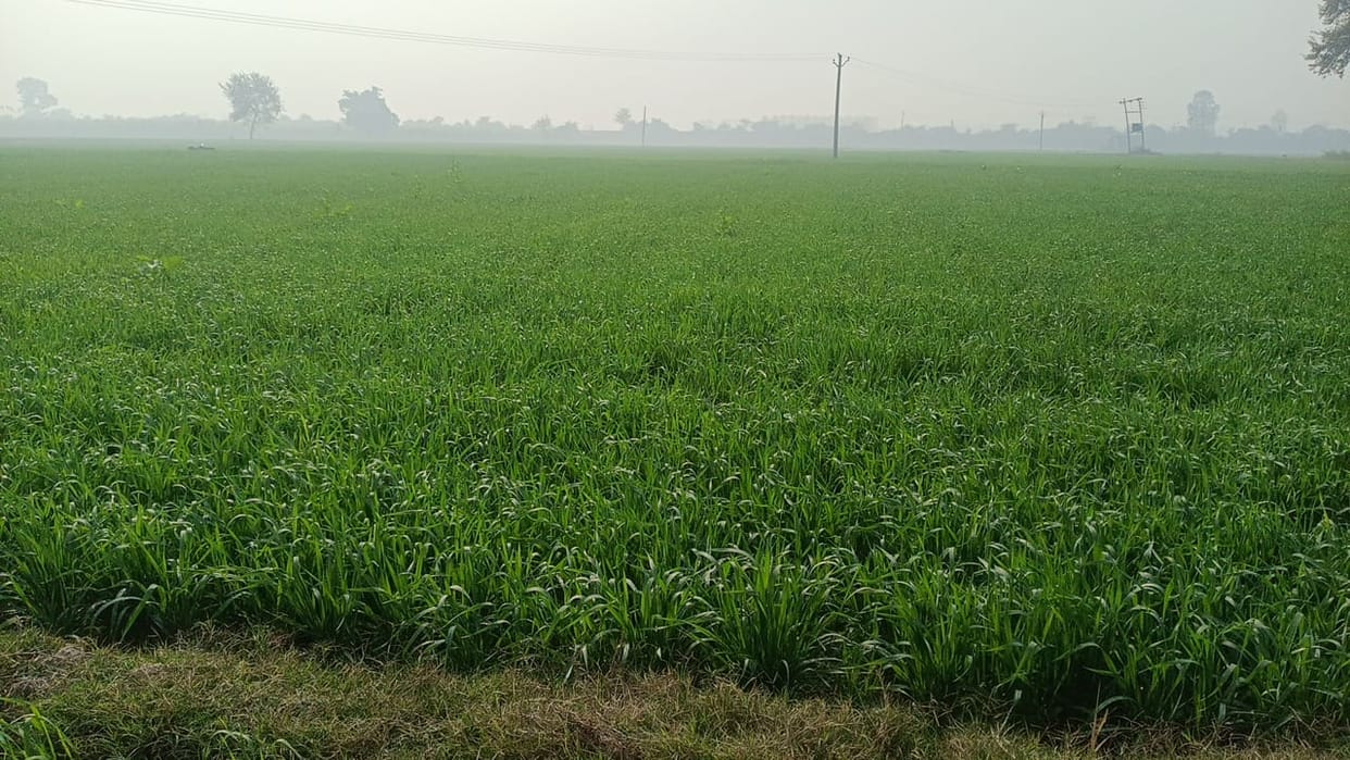 The game of registering one acre of land with fake documents is exposed in Gorakhpur