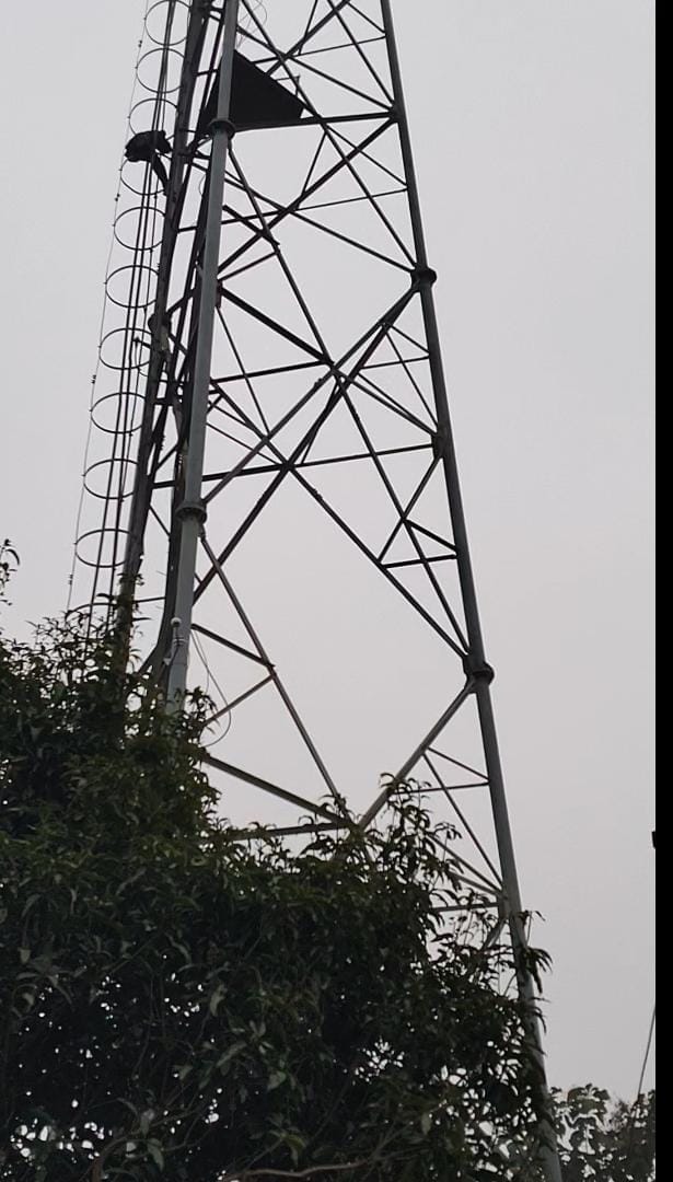 A teenage girl, determined to marry her lover, climbed onto a mobile tower.