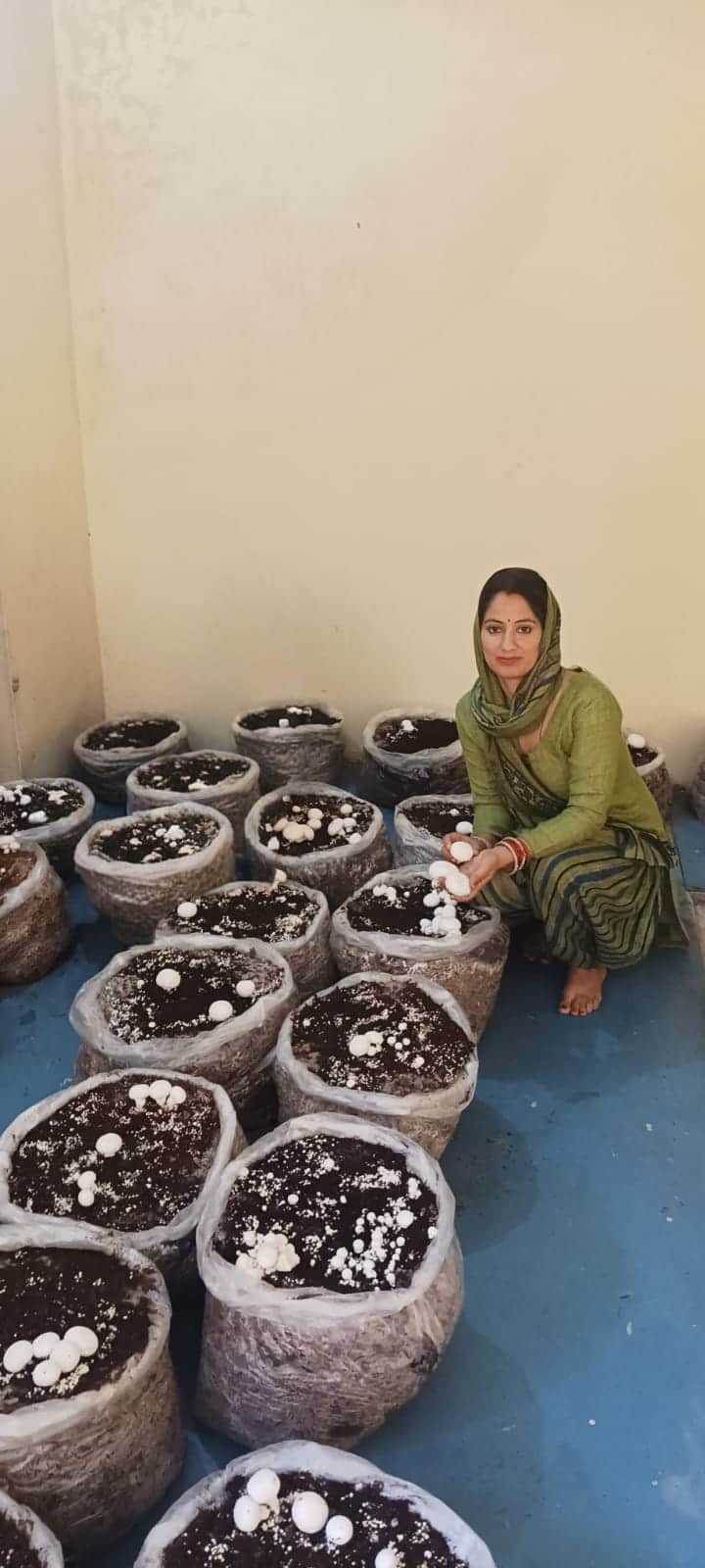 मशरूम उत्पादक मधुबाला। संवाद