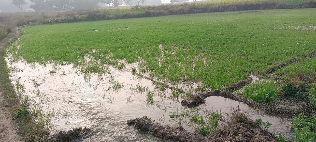 Three decades later, the canal was cleaned, and 60 acres of crops were submerged due to overflow.