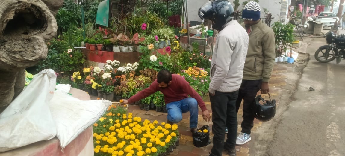The market for flowering plants has heated up during the winter season.