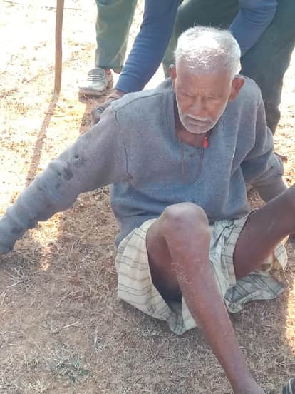 Tiger Attack in Manpur,Elderly Man Injured, Fear Grips Forest-Edge Villages