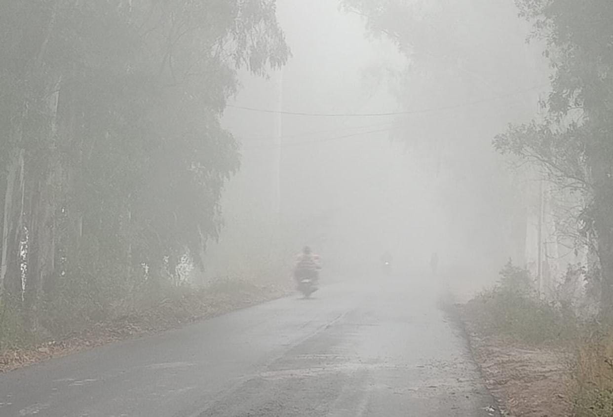 Vehicles crawled in the dense fog in Barwala.