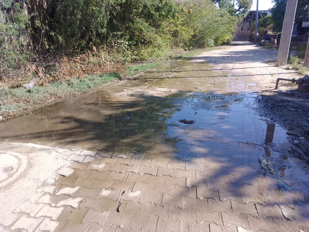 The polluted water from the drains is accumulating in the pond instead of flowing into the drain.