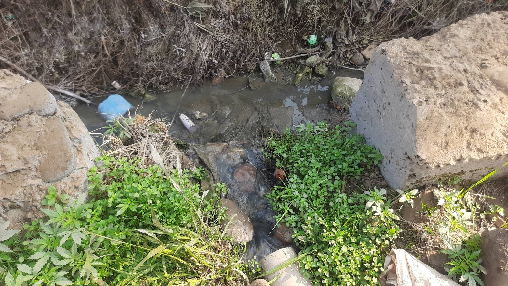 The dilapidated sewerage chamber in Bajoha ward has become a serious threat.