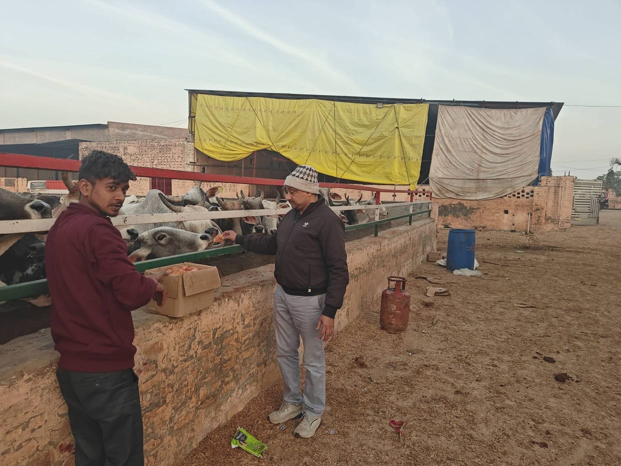 Baba Phullu Sadh inspected the cowshed in Kapro.