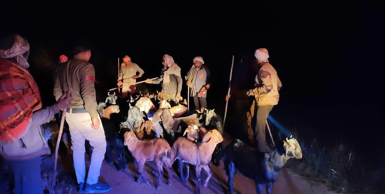 Satna News: Goats Looted from Kusmuhi Forest Recovered on MP–UP Border, Handed Over to Shepherds