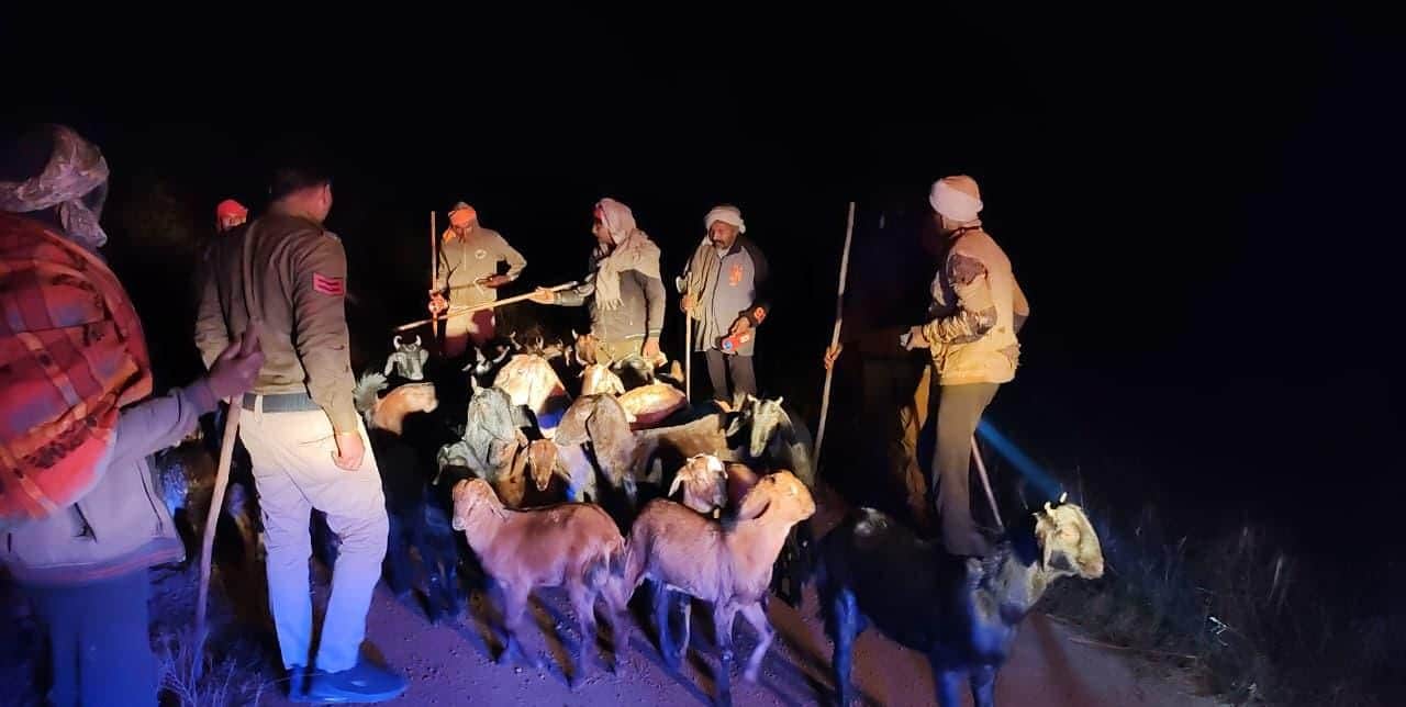 उत्तरप्रदेश के कुसमुही जंगल लूटी गई बकरियां बरामद