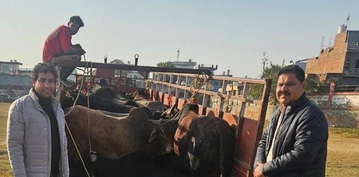 The aim is to make the city Nandi and monkey free by December 31.