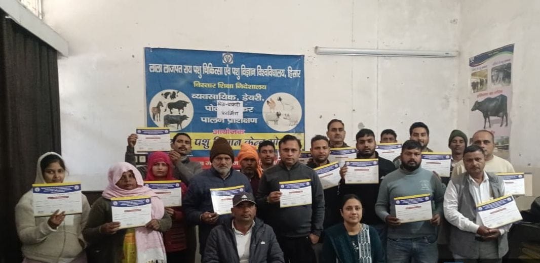 Information given to cattle farmers about foot and mouth disease