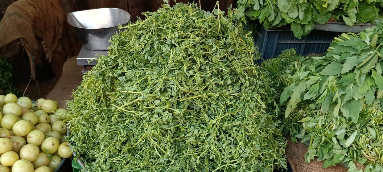 Green chickpeas are being supplied to the local market from Satnali and the Rajasthan region.