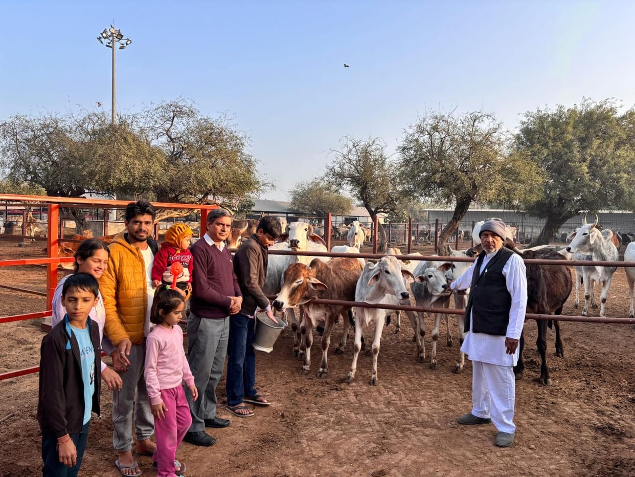 I adopted a cow at the Shri Krishna Gaushala.