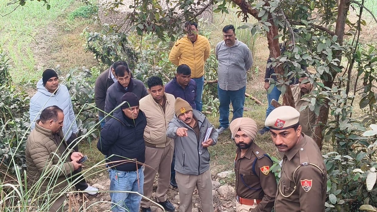 The body of an unidentified person was found under the bridge; murder is suspected