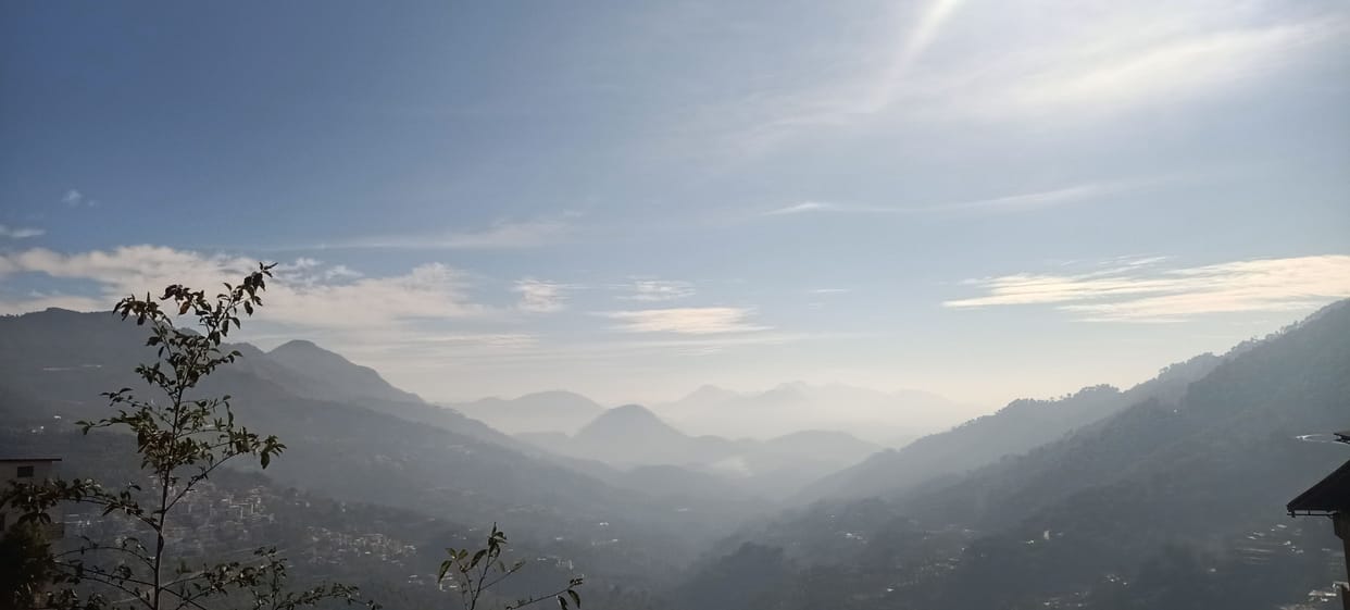 Solan engulfed in fog, mercury drops by 2 degrees, icy winds blow throughout the day