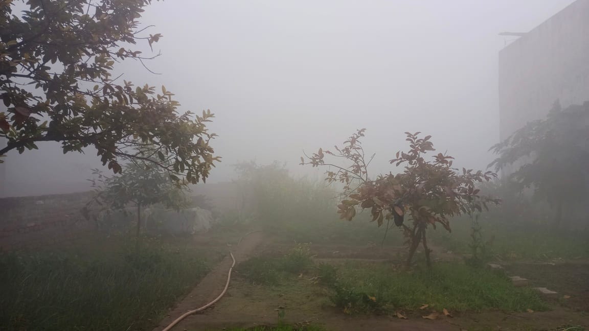 Due to increased fog, visibility was zero in the morning and evening, maximum temperature decreased by one degree.